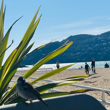 Cannes Marina, Vue Port Avec Piscine Et Parking Prive *