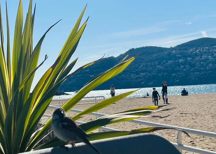Cannes Marina, Vue Port Avec Piscine Et Parking Prive *